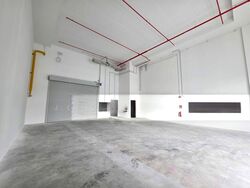 Ct Foodnex (D25), Factory #588589501